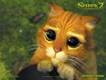 http://shrek-2-wallpaper.softonic.com/